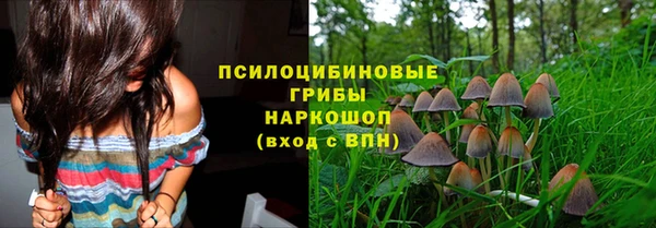 первитин Арсеньев