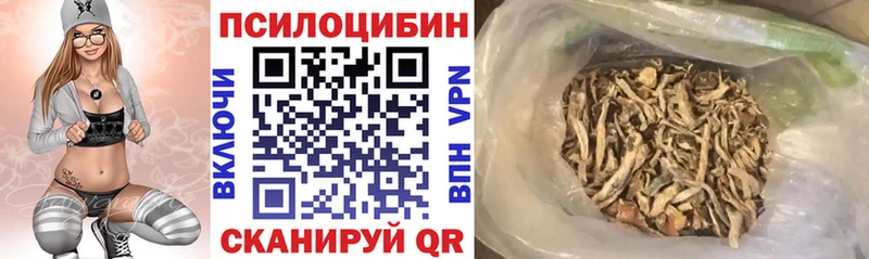 Галлюциногенные грибы Psilocybe  Бийск 