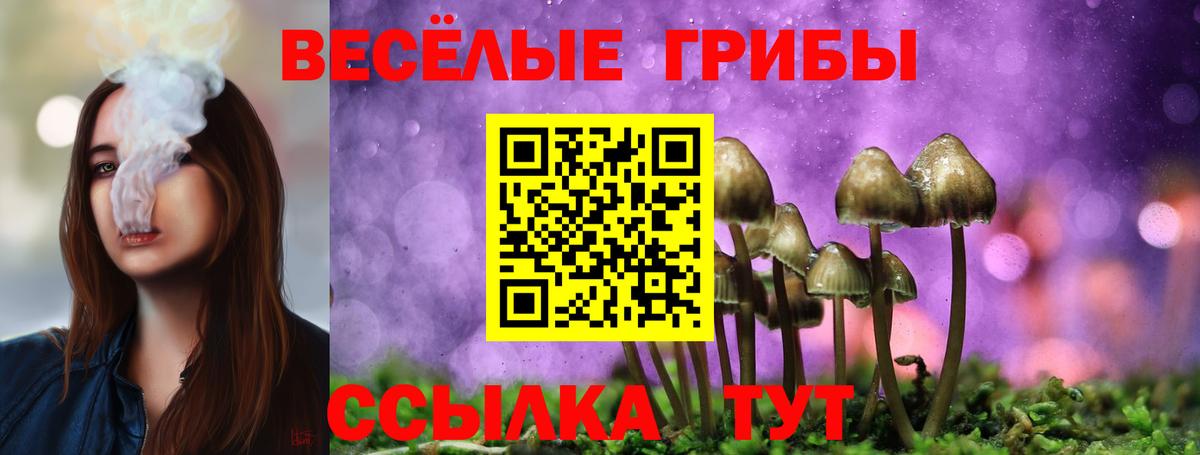 Галлюциногенные грибы мицелий Бийск